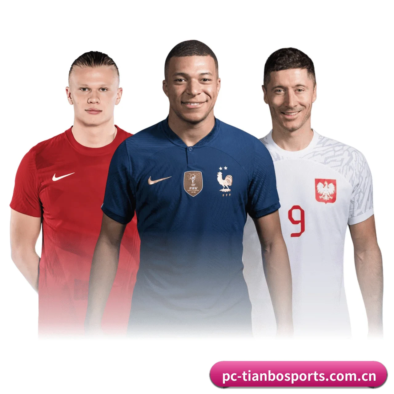 米乐体育 采编基因 - 体育资讯内容服务